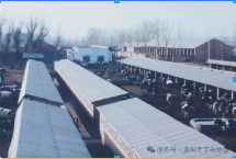 d2d5a29bcc520436e7feeb6bd18135e.png